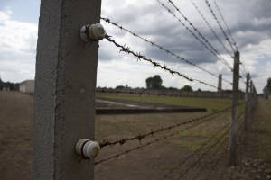 Wall of Barbed Wire