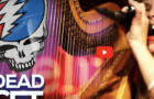 5 Great Grateful Dead Covers